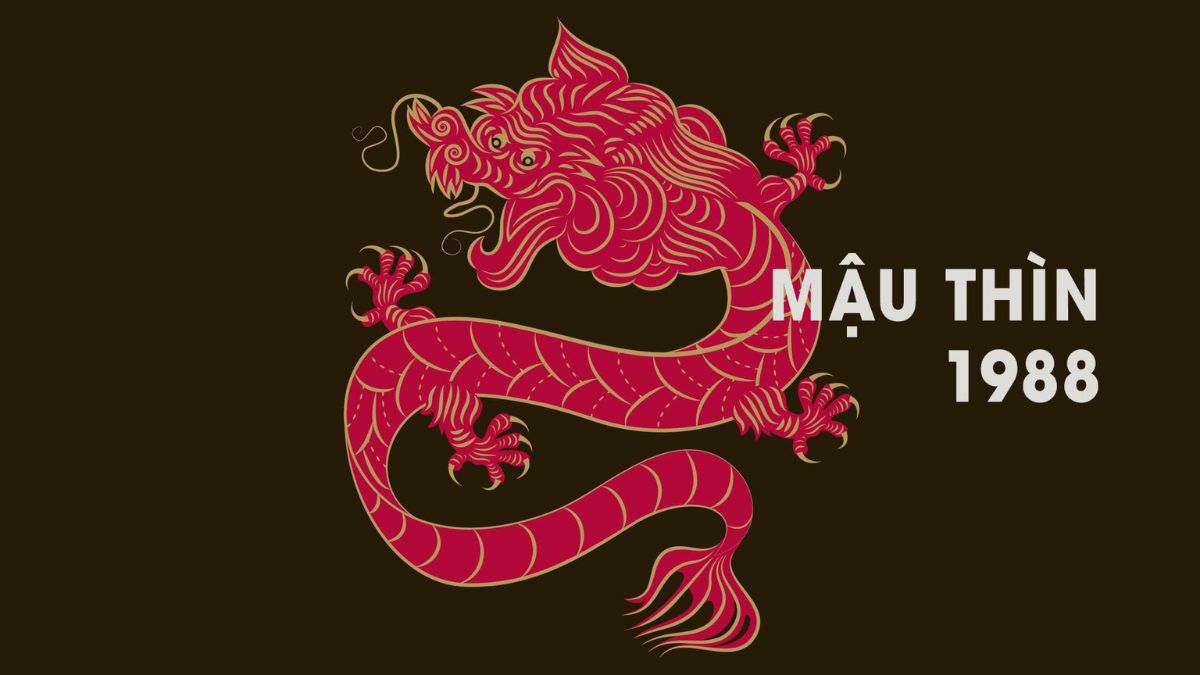 Năm 2026, tuổi Mậu Thìn 1988 nam mạng đón vận khí tốt